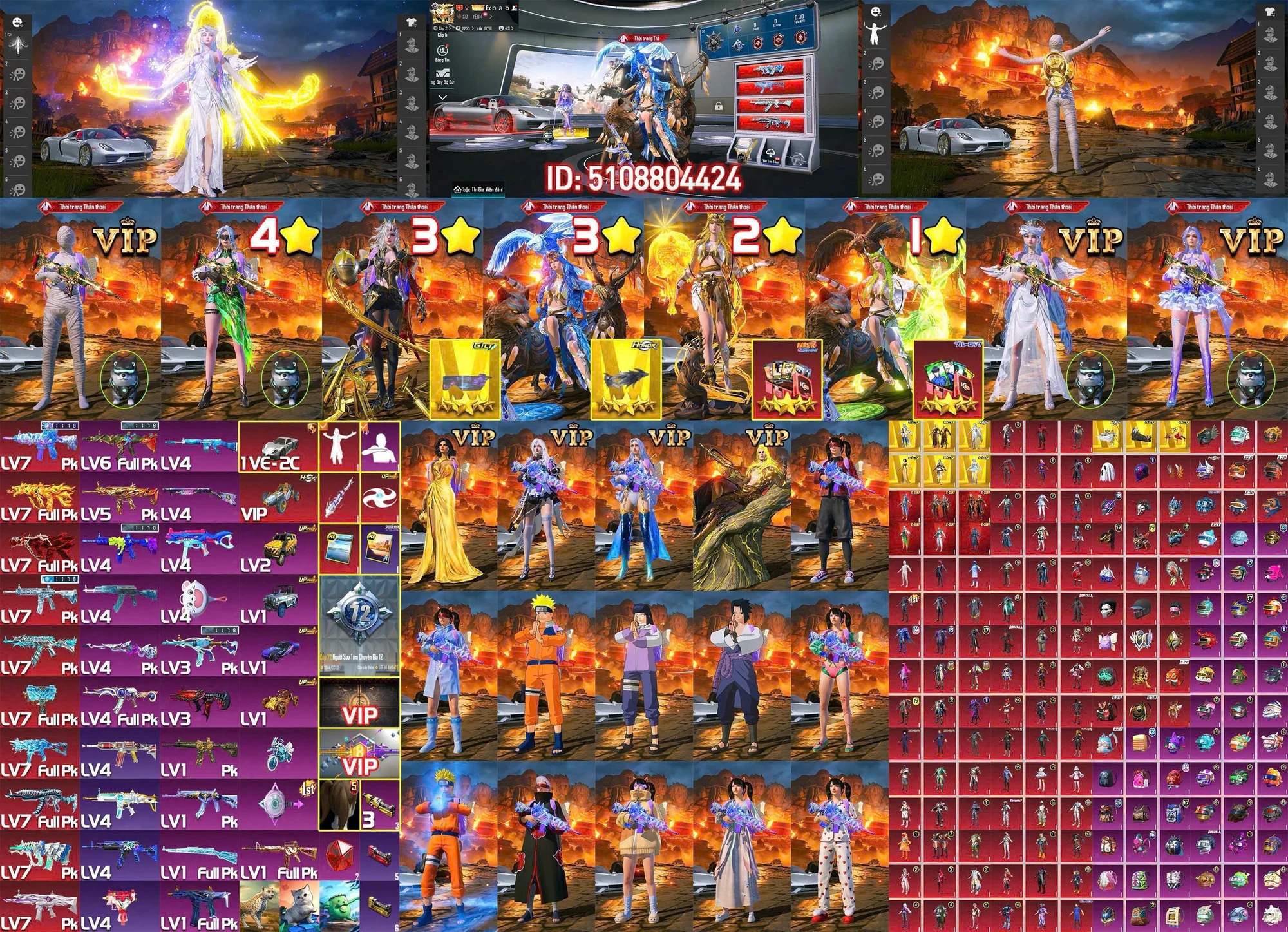 Ảnh tài khoản mã 11601