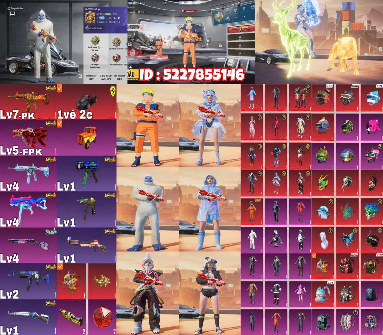 Ảnh tài khoản mã 11335